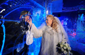свадебные фотосессии в Музее льда