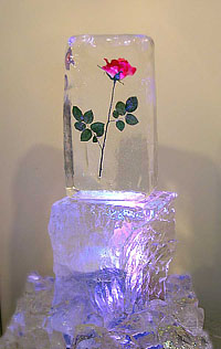 роза во льду