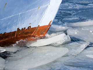 В Антарктических водах продолжается ледовая экспансия