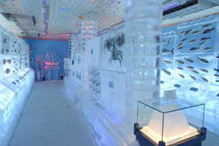 Обновление экспозиции  ледяного аквариума в Японии