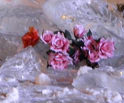 Ледяные розы