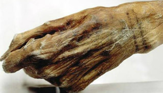 На ледяной мумии Этци обнаружили новые татуировки