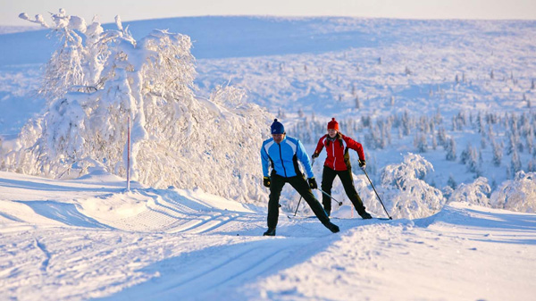 Катание на лыжах в Лапландии
