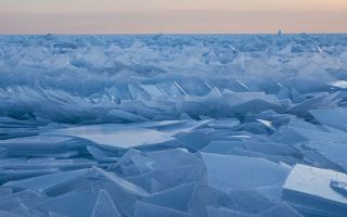 Озеро Мичиган покрылось волшебными ледяными лепестками