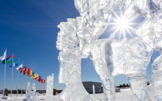 Центр лыжного стадиона в Малиновке украшают ледяные скульптуры